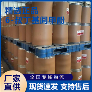  精选 6-叔丁基间甲酚 防腐剂抗氧化剂 88-60-8 