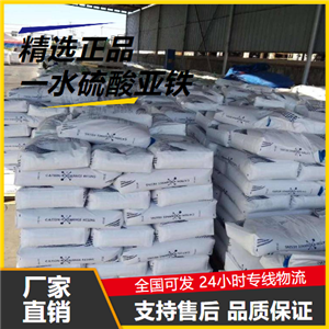   一水硫酸亚铁 17375-41-6 净水剂铁强化剂 