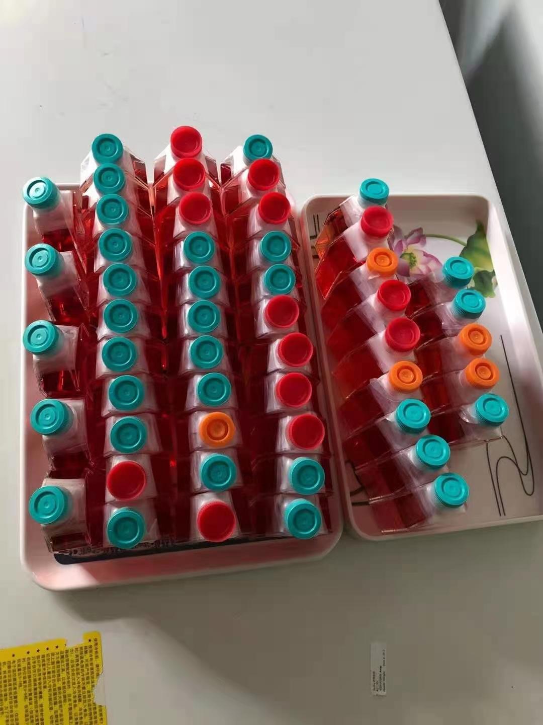 ff3848018ceaba8dbf02df13d1bf445.jpg ff3848018ceaba8dbf02df13d1bf445.jpg