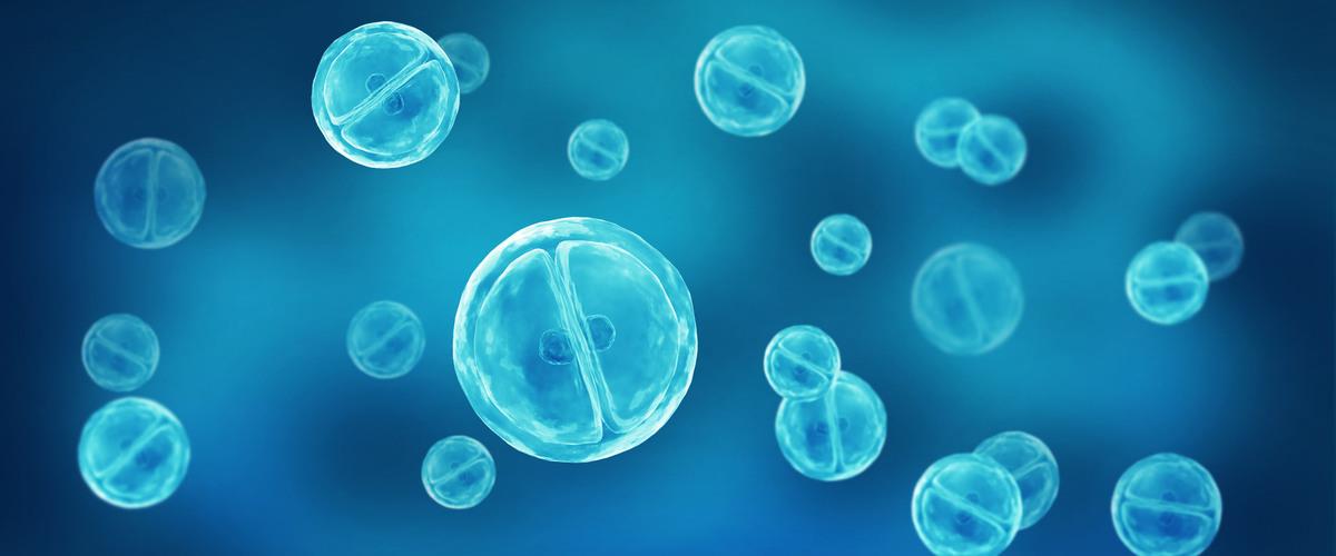 875c6a12122e6d9.jpg 875c6a12122e6d9.jpg