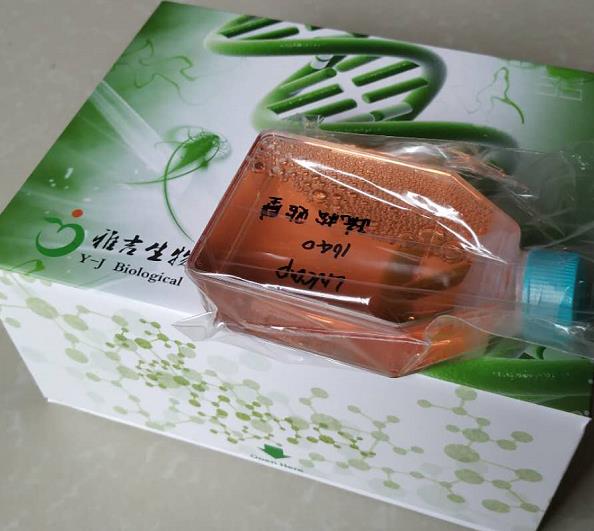 细胞.png 细胞.png