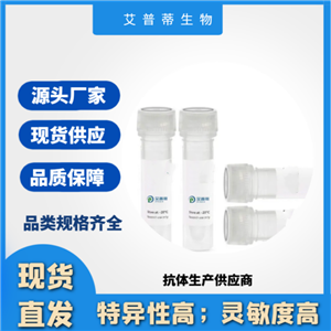 CCR3抗体；CCR3 antibody  艾普蒂生物