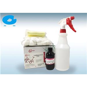 外源RNase清除剂（固相）