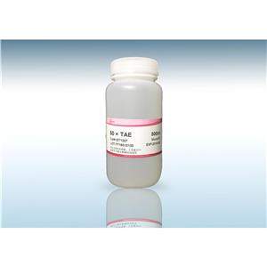 50×TAE(液体)