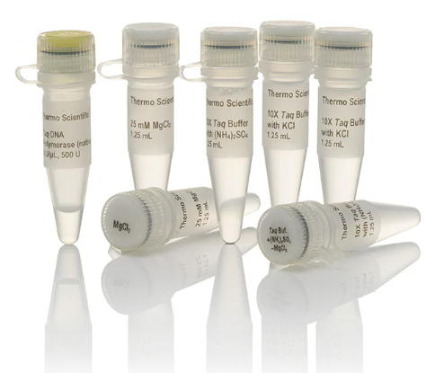 枳实PCR鉴定试剂盒