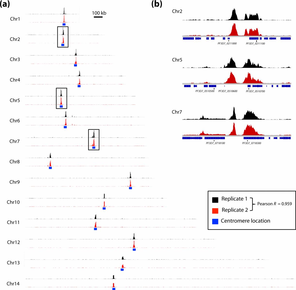 ChIP-seq