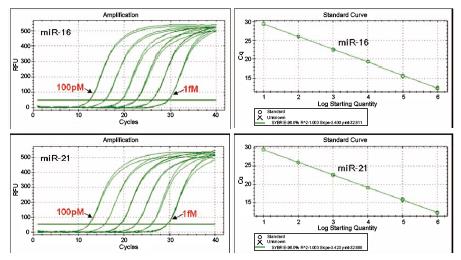 miRNA_qRT_PCR2.png miRNA_qRT_PCR2.png