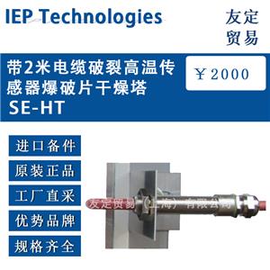 lEP Technologies 带2米电缆破裂高温传感器爆破片干燥塔SE-HT