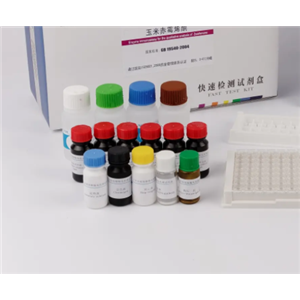人腺病毒F41型探针法荧光定量PCR试剂盒Human Adenovirus F41（HAdV-F41）
