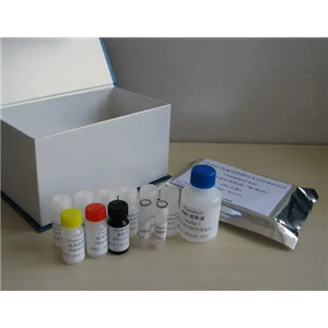 人腺病毒D37型探针法荧光定量PCR试剂盒Human Adenovirus D37（HAdV-D37）