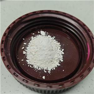 (4-甲基-1-(苯基甲基)-3-哌啶酮)盐酸盐