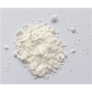 17-氨基-10-氧代-3,6,12,15-四氧杂-9-氮杂十七烷酸