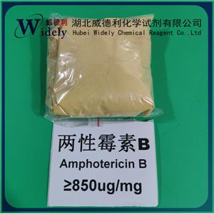 两性霉素B 1397-89-3