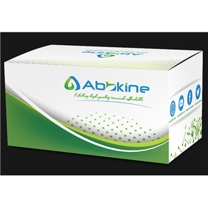 CheKine? 活性氧（ROS）含量检测试剂盒（荧光法）