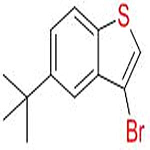 3-溴-5-叔丁基苯并噻吩