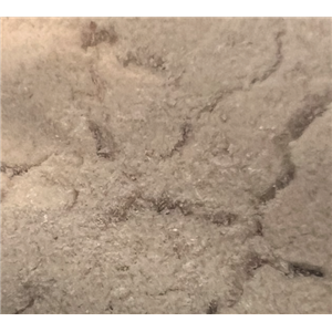 2-氨基对苯二甲酸二甲酯