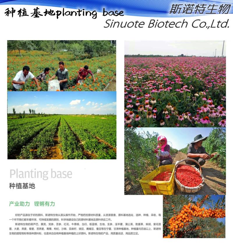 4种植基地 (7).jpg 4种植基地 (7).jpg