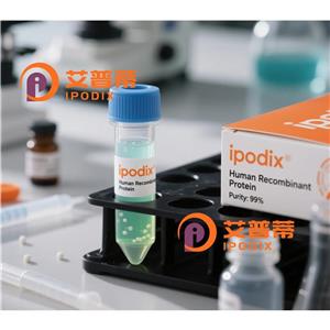 Rabbit Polyclonal CXCR3 Antibody