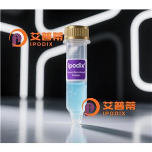 Rabbit Polyclonal CCKBR Antibody