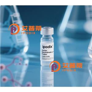 Rabbit Polyclonal GJB2 Antibody