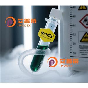 Rabbit Polyclonal GFRA1 Antibody