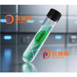 Rabbit Polyclonal GFRA3 Antibody