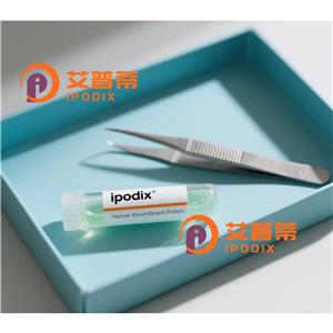 Rabbit Polyclonal SLC2A3 Antibody