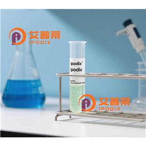 Rabbit Polyclonal SLC2A12 Antibody