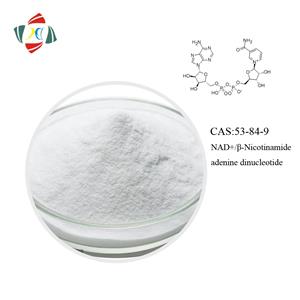 烟酰胺单核苷酸