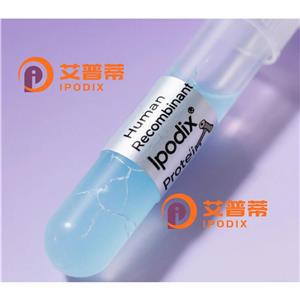 DHX8抗体—艾普蒂