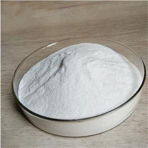 白桦脂醇 桦树皮素 桦木醇、桦木脑、白桦酯醇