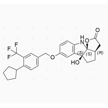 E063002.jpg E063002.jpg