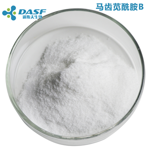 马齿苋酰胺B Oleracein B