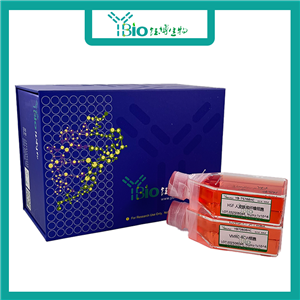 HB611（人肝癌细胞）YB-71345HC