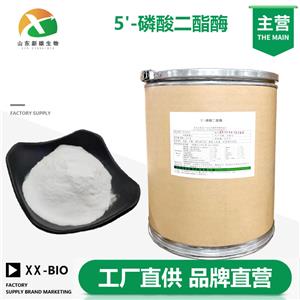 5'-磷酸二酯酶
