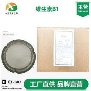 维生素B1厂家