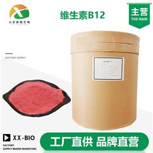 维生素B12厂家