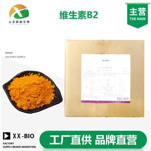 维生素B2厂家