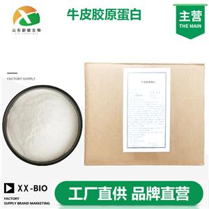 牛皮胶原蛋白厂家