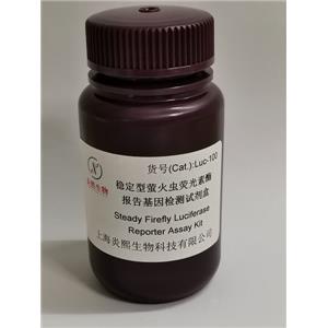 稳定型萤火虫荧光素酶报告基因检测试剂盒