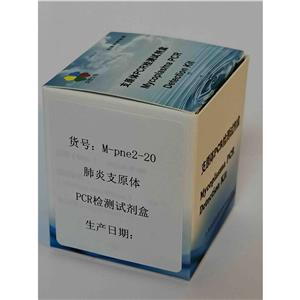 肺炎支原体PCR检测试剂盒