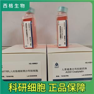 A110L人非小细胞肺癌细胞