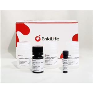 Polymer-HRP Anti-Mouse/Rabbit IHC 检测试剂盒(DAB系统）