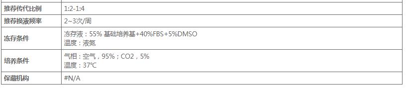 image 2020121109212626498