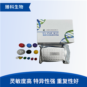 小鼠干扰素α-1b(IFN-α-1b）elisa检测试剂盒
