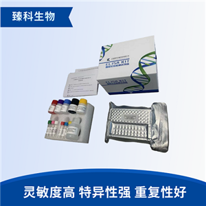 小鼠干扰素调节因子5(IRF5）elisa检测试剂盒