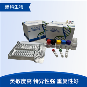 小鼠干细胞因子(SCF）elisa检测试剂盒