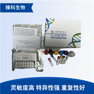 小鼠高分子量激肽原(HK）elisa检测试剂盒