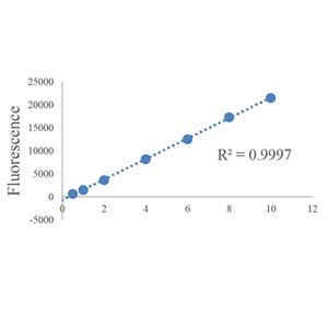 High Sensitivity dsDNA Quantification Kit 双链DNA定量试剂盒| 细胞核荧光染料 | EnkiLife恩玑生命