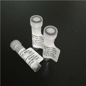 Annexin V-iFluor 680标记